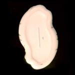 Herend “Margaréta” Pattern Special Baroque Bowl – Rare, Large Piece - Image 24