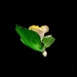 Herend Yellow Porcelain Rose – Table Decoration - Image 6