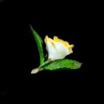 Herend Yellow Porcelain Rose – Table Decoration - Image 7